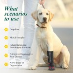 Drop Foot Brace with Reel(No Knuckling Boot Brace) for Dog Corrective Dog Shoes