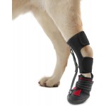 Drop Foot Brace with Reel(No Knuckling Boot Brace) for Dog Corrective Dog Shoes