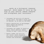 60Capsules Kinoko Platinum AHCC Supplement 750mg Immune SUPPORT Quality Of LIFE